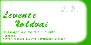 levente moldvai business card